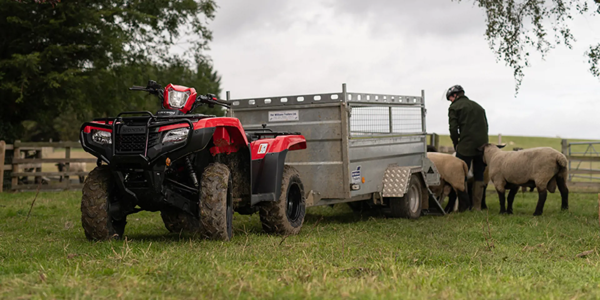 Honda ATV brugt til landbrugsarbejde med trailer på mark, trækker trailer ved fåreindhegning